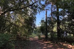 240 Mockingbird Ln, Chattahoochee, FL 32324 - Photo 97