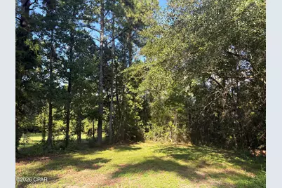 240 Mockingbird Lane, Chattahoochee, FL 32324 - Photo 53