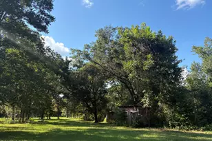 240 Mockingbird Ln, Chattahoochee, FL 32324 - Photo 85