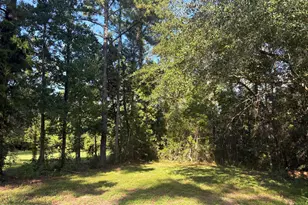 240 Mockingbird Ln, Chattahoochee, FL 32324 - Photo 53