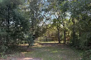 240 Mockingbird Ln, Chattahoochee, FL 32324 - Photo 95
