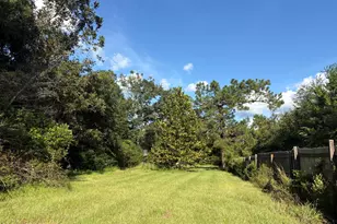 240 Mockingbird Ln, Chattahoochee, FL 32324 - Photo 93