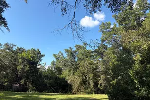 240 Mockingbird Ln, Chattahoochee, FL 32324 - Photo 89