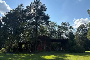 240 Mockingbird Ln, Chattahoochee, FL 32324 - Photo 81