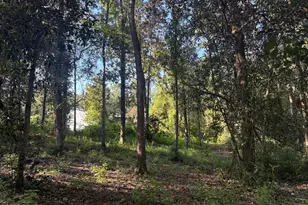 240 Mockingbird Ln, Chattahoochee, FL 32324 - Photo 71