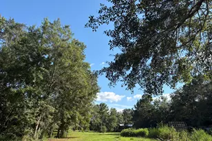 240 Mockingbird Ln, Chattahoochee, FL 32324 - Photo 107