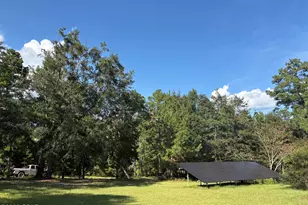240 Mockingbird Ln, Chattahoochee, FL 32324 - Photo 105