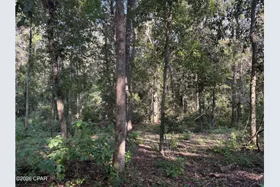 240 Mockingbird Lane, Chattahoochee, FL 32324 - Photo 73