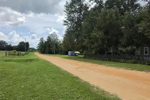 2377 Phillips Rd, Cottondale, FL 32431 - Photo 7