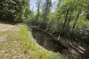 2377 Phillips Rd, Cottondale, FL 32431 - Photo 11