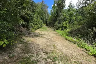 2377 Phillips Rd, Cottondale, FL 32431 - Photo 13