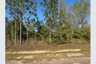 Lot 45 Cavalier Drive, Chipley, FL 32428 - Photo 3