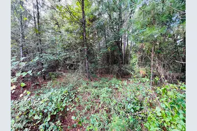 138 Bradwell Lane, Midway, FL 32343 - Photo 3