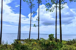 7601 Big Saltmarsh Ln, Panama City Beach, FL 32413 - Photo 1
