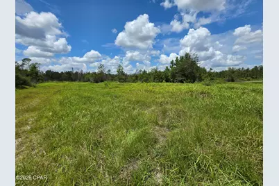 0000 Alex Drive, Fountain, FL 32438 - Photo 1