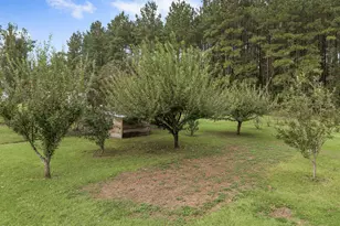 2434 Topaz Rd, Cottondale, FL 32431 - Photo 27