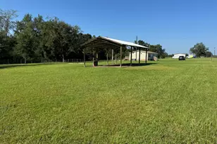 867 Tri County Rd, Graceville, FL 32440 - Photo 3