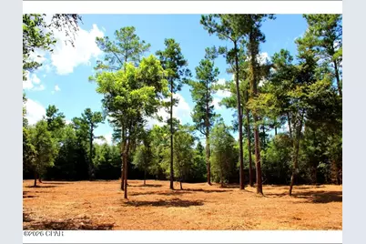 00 Reserve Drive, Marianna, FL 32446 - Photo 3