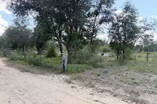 670 S Silver Lake Rd, Fountain, FL 32438 - Photo 43
