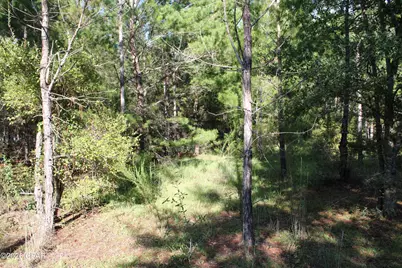 Tbd Kuwait Lane, Alford, FL 32420 - Photo 5
