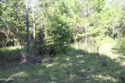 Tbd Kuwait Lane, Alford, FL 32420 - Photo 9