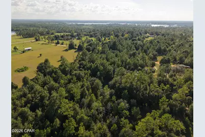Tbd Kuwait Lane, Alford, FL 32420 - Photo 13