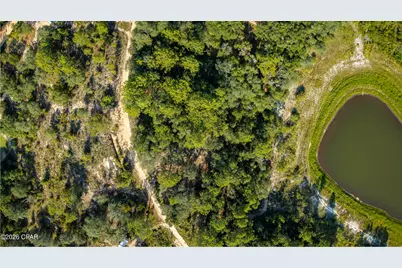 Lot 19 Payne Lake Road, Chipley, FL 32428 - Photo 5