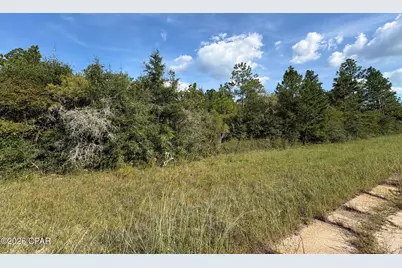 Lot 31 Goodman Hill Road, Chipley, FL 32428 - Photo 3
