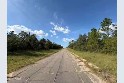 Lot 31 Goodman Hill Road, Chipley, FL 32428 - Photo 5