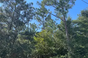 0000 Crossvine Ct, Chipley, FL 32428 - Photo 1