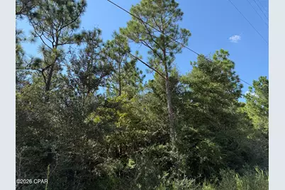 0000 Crossvine Court, Chipley, FL 32428 - Photo 3