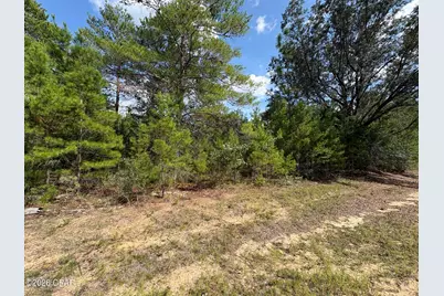 Lot 10 Norwood Avenue, Chipley, FL 32428 - Photo 3