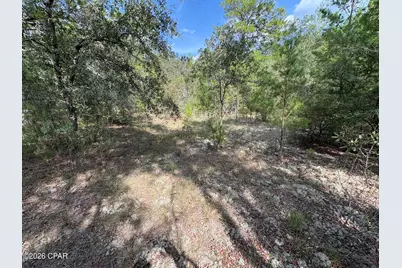 Lot 10 Norwood Avenue, Chipley, FL 32428 - Photo 9