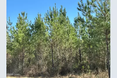 Tract#6317 N Harris Stevenson Road, Bonifay, FL 32425 - Photo 11