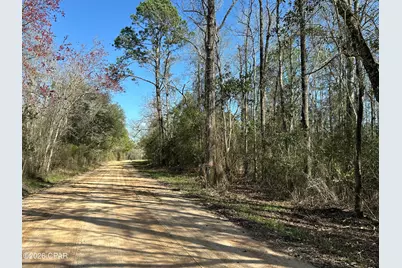 Tract#6317 N Harris Stevenson Road, Bonifay, FL 32425 - Photo 1