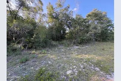 Lot 16 Channing Drive, Chipley, FL 32428 - Photo 3