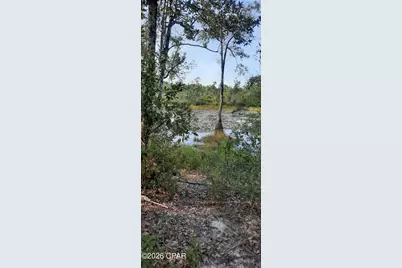 2297 Reedy Creek Road, Alford, FL 32420 - Photo 11