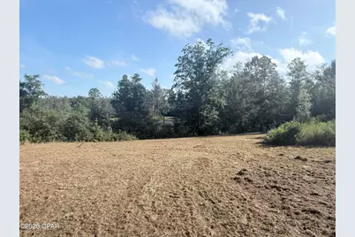 2297 Reedy Creek Road, Alford, FL 32420 - Photo 9