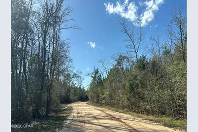 Tract#6317 S Harris Stevenson Road, Bonifay, FL 32425 - Photo 3