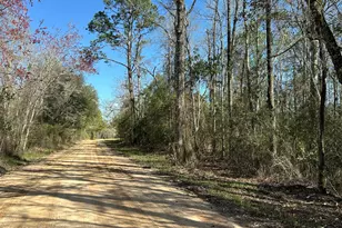 Tract#6317 S Harris Stevenson Rd, Bonifay, FL 32425 - Photo 1