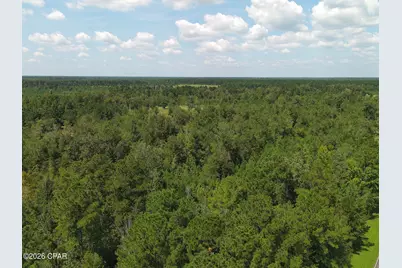 0 River Road, Sneads, FL 32460 - Photo 7