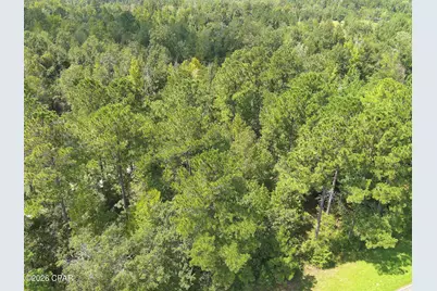 0 River Road, Sneads, FL 32460 - Photo 11