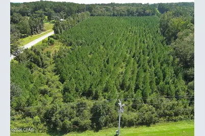Tbd Pioneer Road, Chipley, FL 32428 - Photo 7