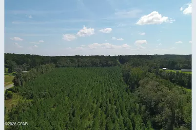 Tbd Pioneer Road, Chipley, FL 32428 - Photo 9