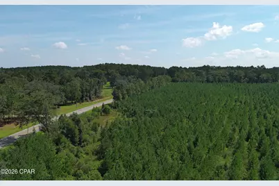 Tbd Pioneer Road, Chipley, FL 32428 - Photo 11