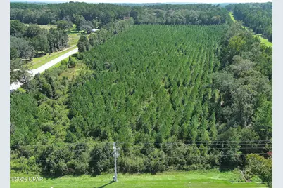 Tbd Pioneer Road, Chipley, FL 32428 - Photo 3