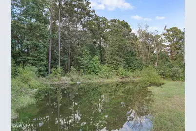 3687 Bass Road, Graceville, FL 32440 - Photo 37
