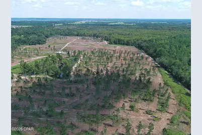 Tbd Gloster Avenue, Sneads, FL 32460 - Photo 3