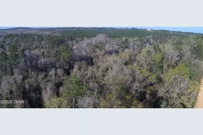 Tbd Olivia Drive, Marianna, FL 32448 - Photo 3