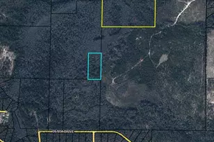 Tbd Olivia Dr, Marianna, FL 32448 - Photo 1
